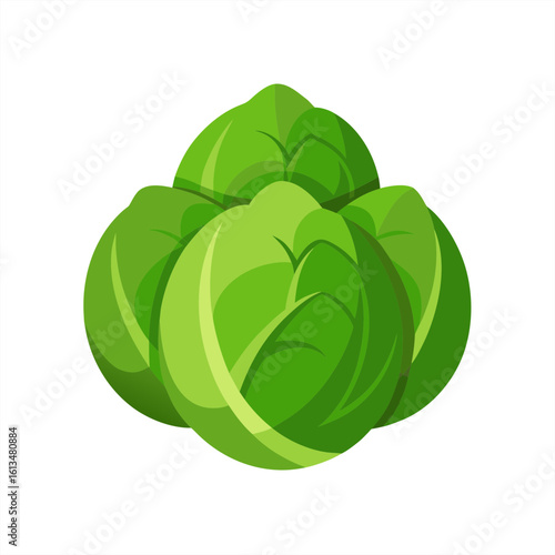 brussels sprouts on transparent background