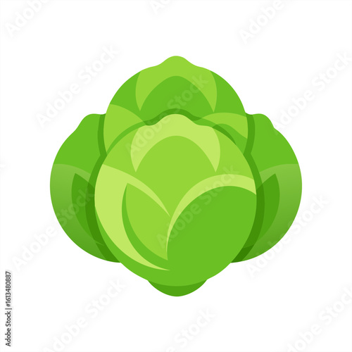 brussels sprouts on transparent background