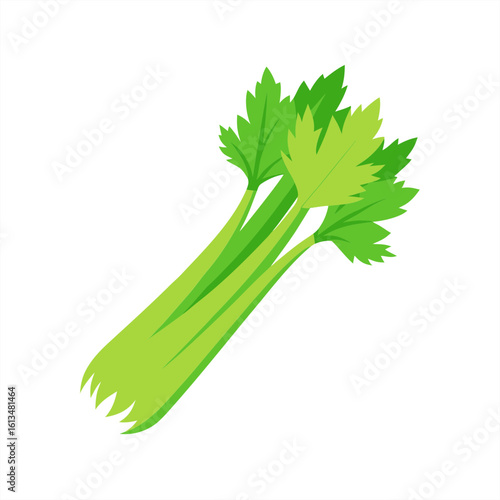 celery on transparent background