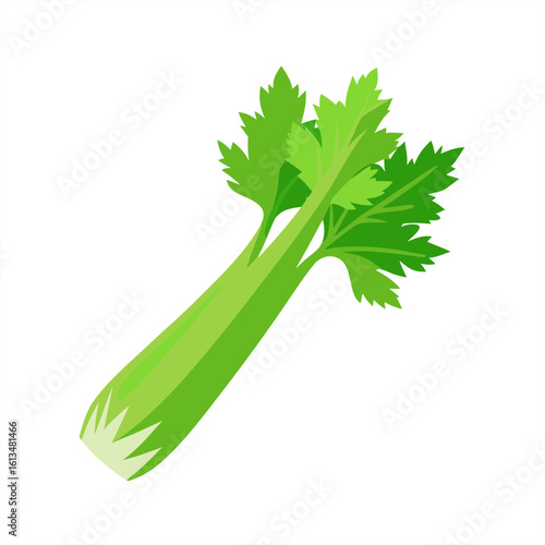 celery on transparent background