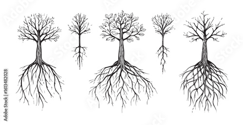 Detailed illustration of five trees with visible root systems silhouette