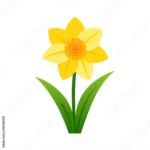 daffodil on transparent background