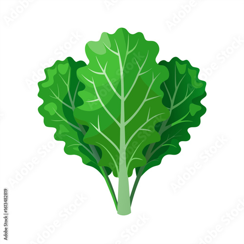 kale on transparent background