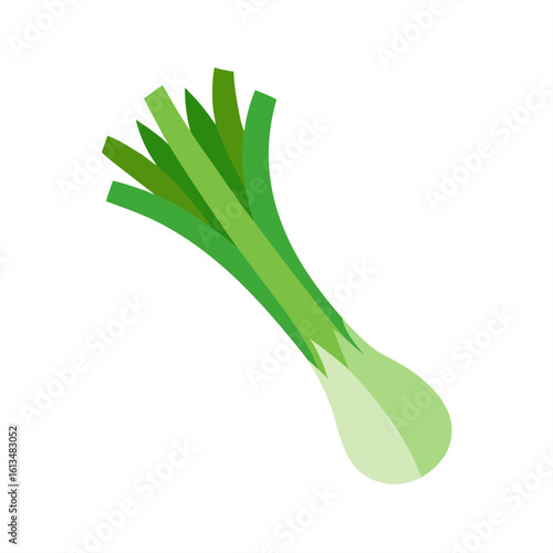 leek on transparent background