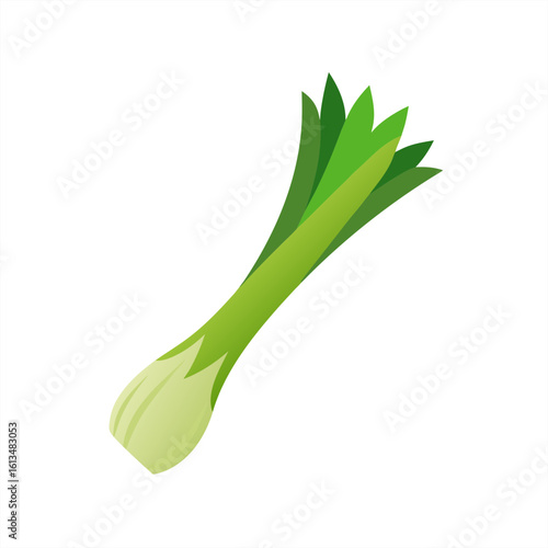 leek on transparent background