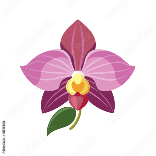 orchid on transparent background