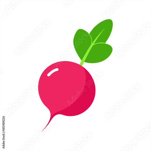 radish on transparent background