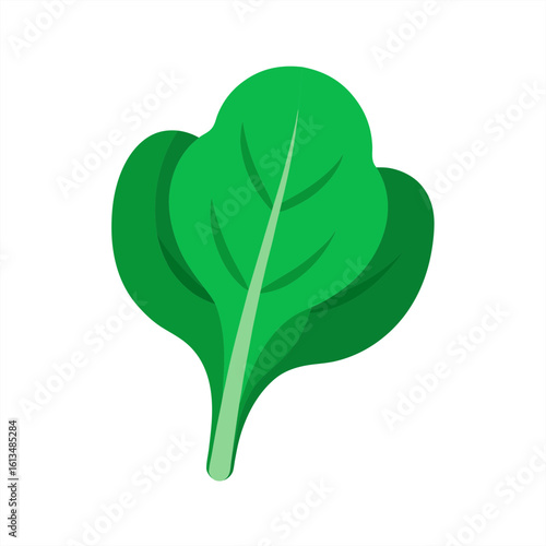 spinach on transparent background
