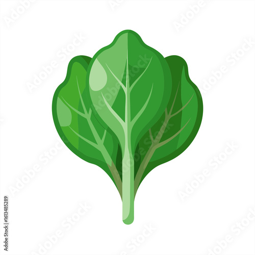 spinach on transparent background
