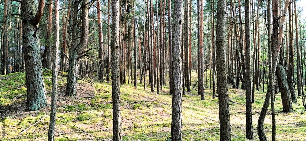 Obraz premium zalew zegrzyński zegrze południowe jezioro zbiornik
