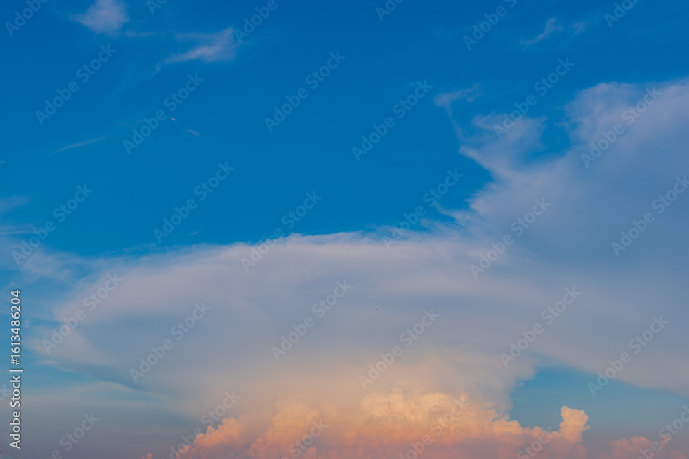 Obraz premium 夏空