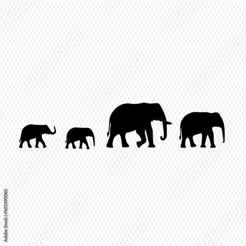 Silhouette of an elephant family walking, showcasing different sizes.