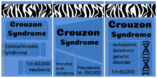 Crouzon Syndrome, Set of leaflets or posters with information materials about a rare disease