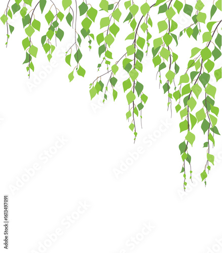 Side Corner  Border  with Green Birch Branches