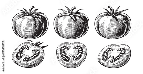 Detailed engraving style illustration of whole and halved tomatoes silhouette