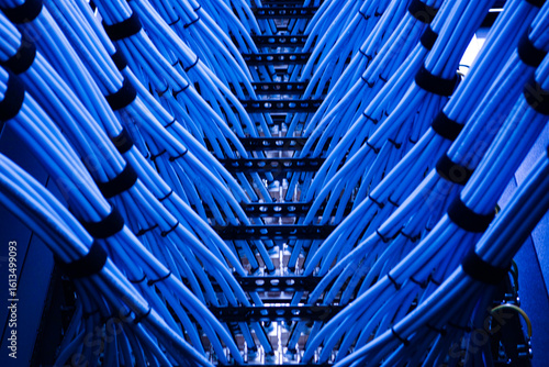 Blue Data Cables in Server Rack View