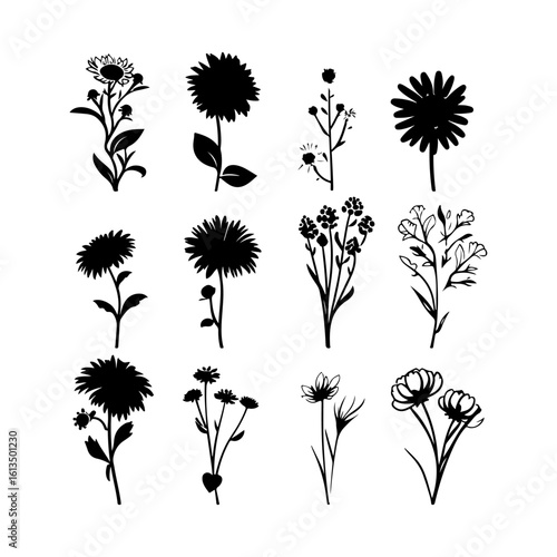 Aster Flower Clipart Silhouette