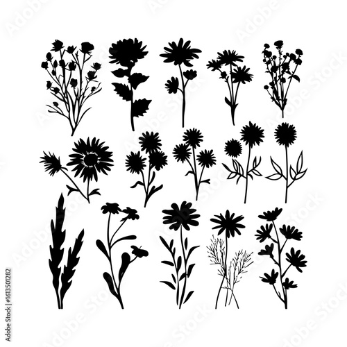 Black Aster Bloom Silhouette