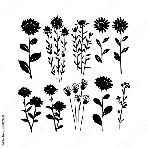 Elegant Aster Floral Silhouette