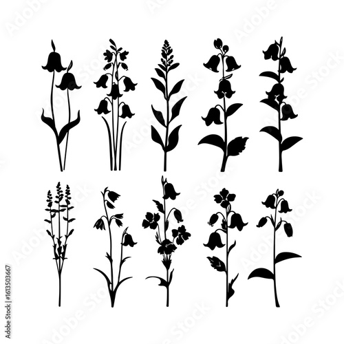Bluebell Flower Set Silhouette
