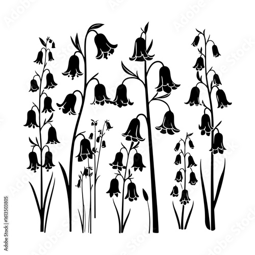 Bluebell Bloom Collection Silhouette