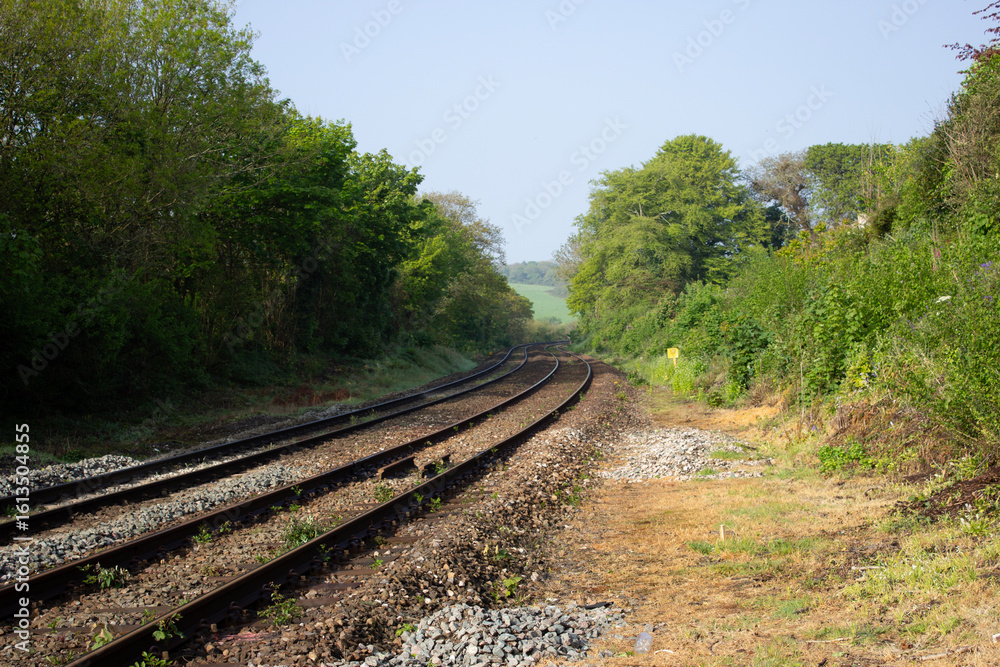 Fototapeta premium Empty railway in the countryside