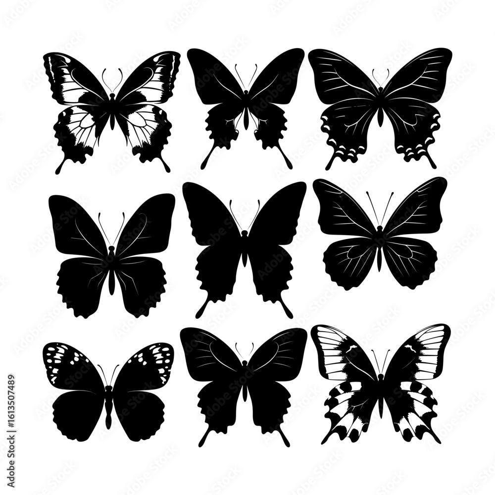 Naklejka premium Butterfly Silhouette Set
