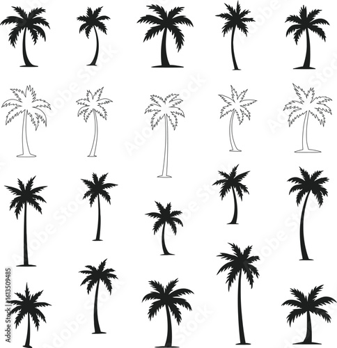 Silhouetted Palm of Trees Collection 