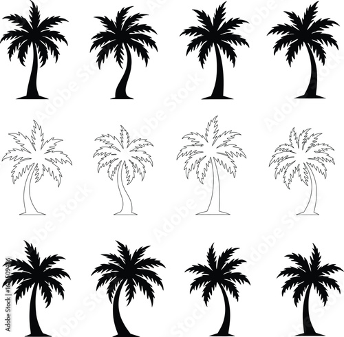 Silhouetted Palm of Trees Collection 