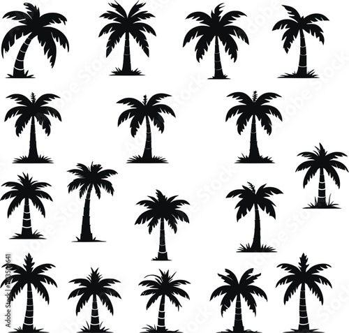 Silhouetted Palm of Trees Collection 