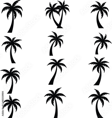 Silhouetted Palm of Trees Collection 