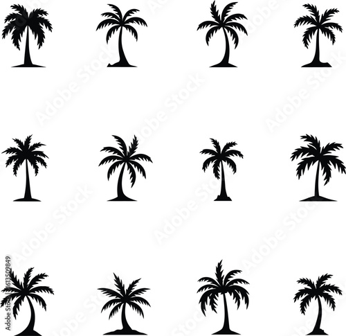 Silhouetted Palm of Trees Collection 