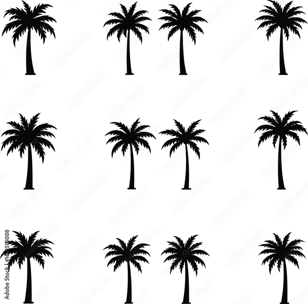 Fototapeta premium Silhouetted Palm of Trees Collection 