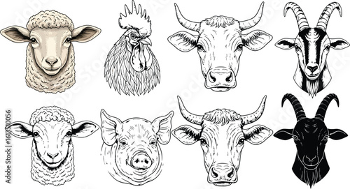Farm animals vector illustration set of sheep goat cow pig and rooster drawing design art