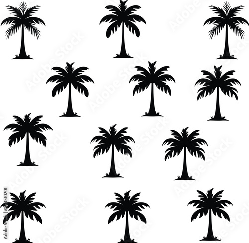 Silhouetted Palm of Trees Collection 