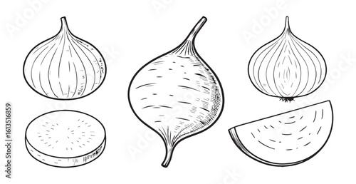 Collection of radish vegetables in a stylized silhouette