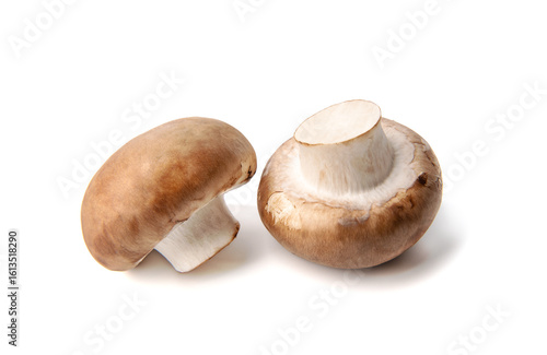 Fresh champignon mushrooms isolated on white background.