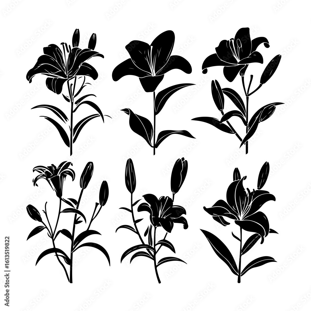 lily flower silhouette graphics lily flower silhouette graphics