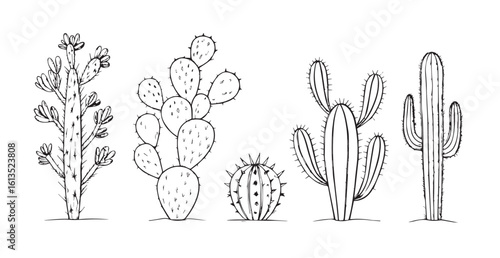 Diverse cactus collection in a stylized silhouette
