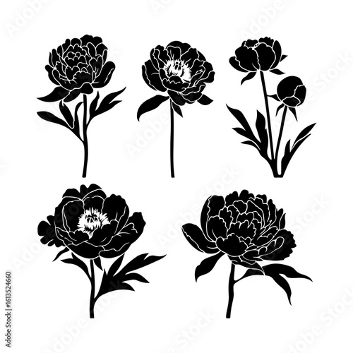 peony flower silhouette clipart set