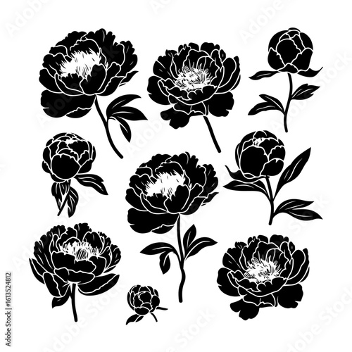 peony flower silhouette graphic set