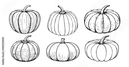 Six hand drawn pumpkin illustrations in a sketchy silhouette style