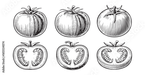 Vintage engraving style illustration of tomatoes whole and halved silhouette