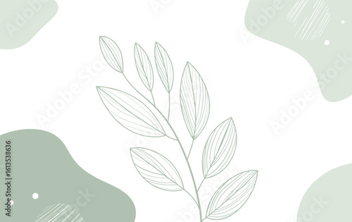 Minimalist botanical background with leaves and abstract shapes