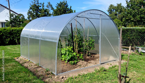 a greenhouse is situated in a yard, surrounded by grass. the structure has a semicircular roof and transparent plastic walls. inside the greenhouse are plants