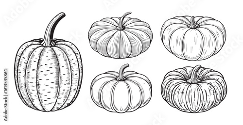 Collection of five hand drawn pumpkin illustrations in a silhouette style