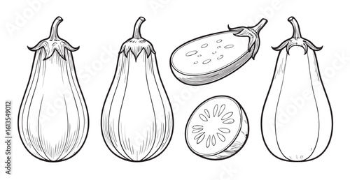 Detailed sketch of eggplants and sliced eggplant halves silhouette