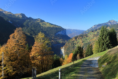 Tableau sur toile The lauterbrunen valley seen from a mountainside near Wengen in the late afternoon sun