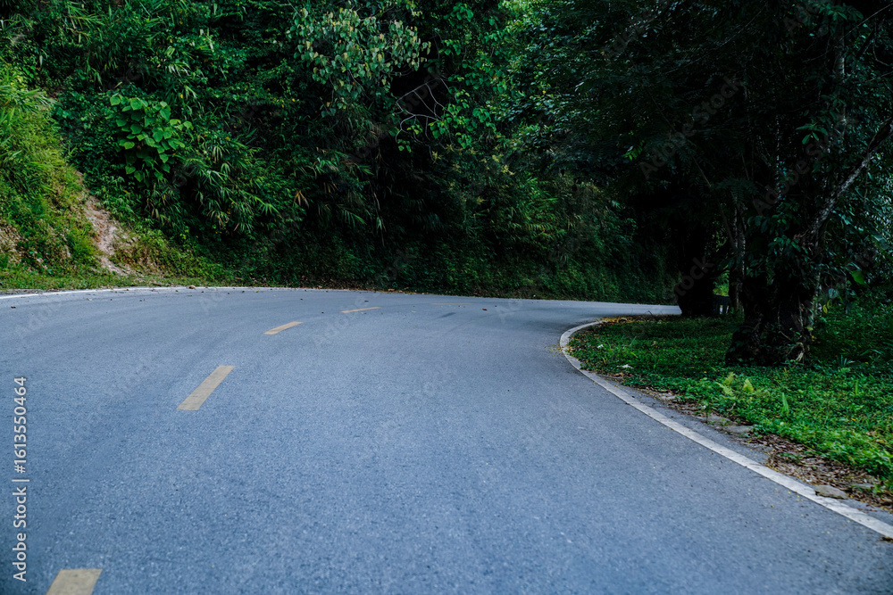 Fototapeta premium Curved forest road surrounded by dense green trees in a tranquil natural landscape