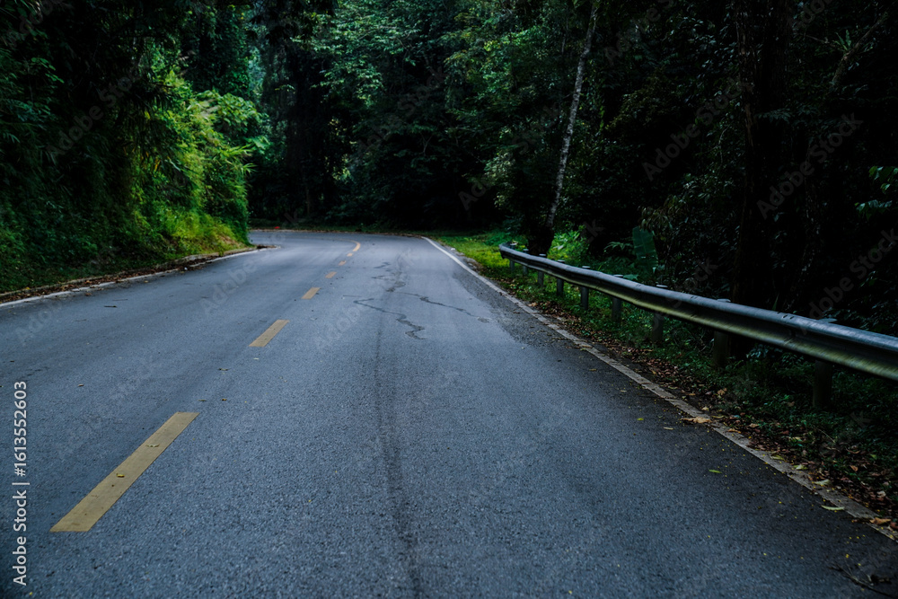 Fototapeta premium Curved forest road surrounded by dense green trees in a tranquil natural landscape